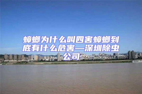 蟑螂為什么叫四害蟑螂到底有什么危害—深圳除蟲公司