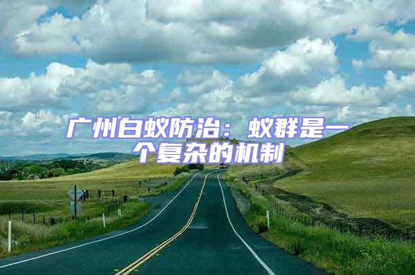廣州白蟻防治:蟻群是一個(gè)復(fù)雜的機(jī)制