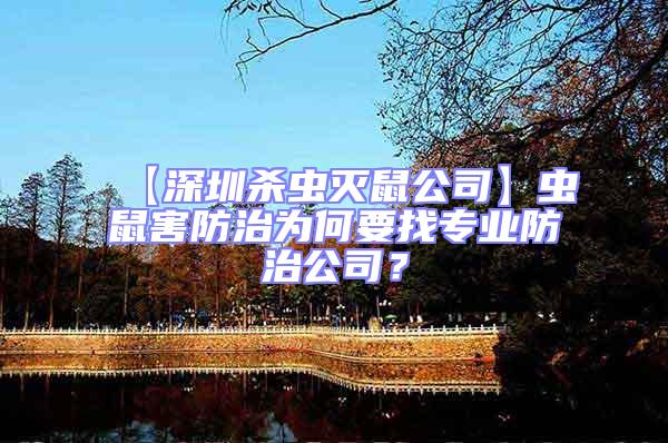 【深圳殺蟲滅鼠公司】蟲鼠害防治為何要找專業(yè)防治公司？