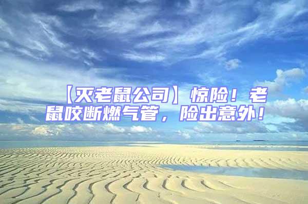 【滅老鼠公司】驚險(xiǎn)！老鼠咬斷燃?xì)夤?，險(xiǎn)出意外！