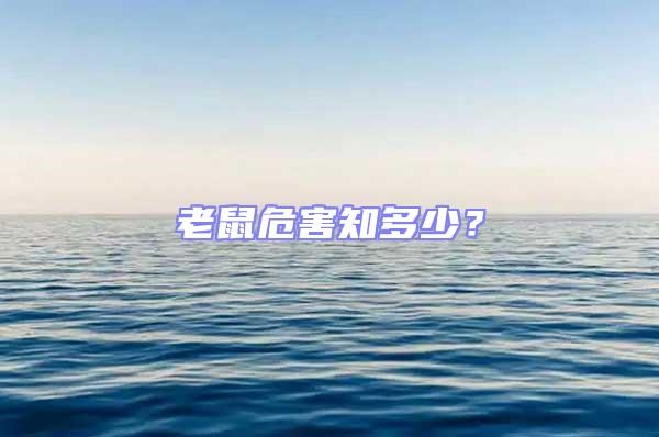 老鼠危害知多少？