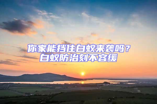 你家能擋住白蟻來襲嗎？白蟻防治刻不容緩