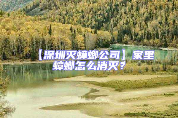 【深圳滅蟑螂公司】家里蟑螂怎么消滅？