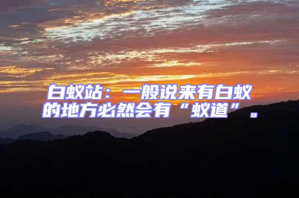 白蟻站：一般說來有白蟻的地方必然會(huì)有“蟻道”。