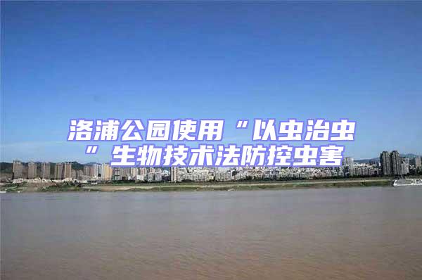 洛浦公園使用“以蟲治蟲”生物技術(shù)法防控蟲害