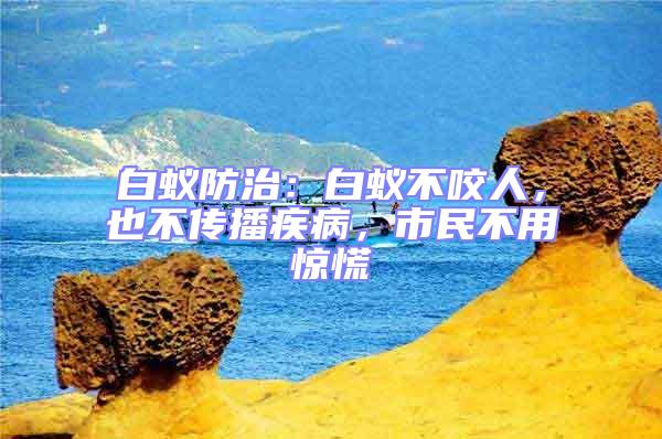 白蟻防治：白蟻不咬人，也不傳播疾病，市民不用驚慌