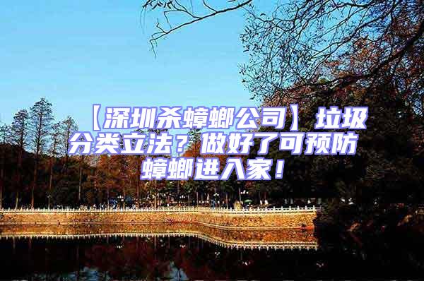 【深圳殺蟑螂公司】垃圾分類立法？做好了可預(yù)防蟑螂進(jìn)入家！