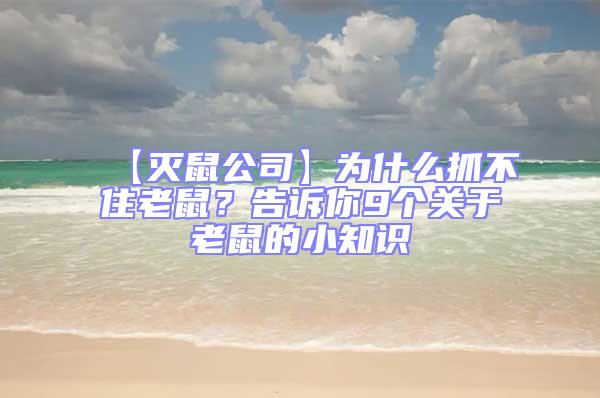 【滅鼠公司】為什么抓不住老鼠？告訴你9個(gè)關(guān)于老鼠的小知識(shí)
