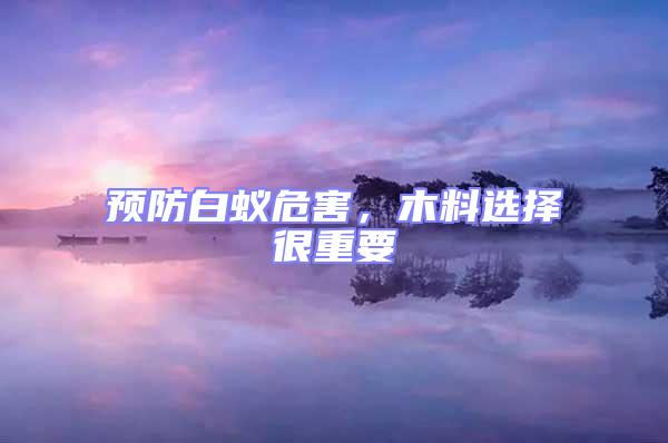 預(yù)防白蟻危害，木料選擇很重要