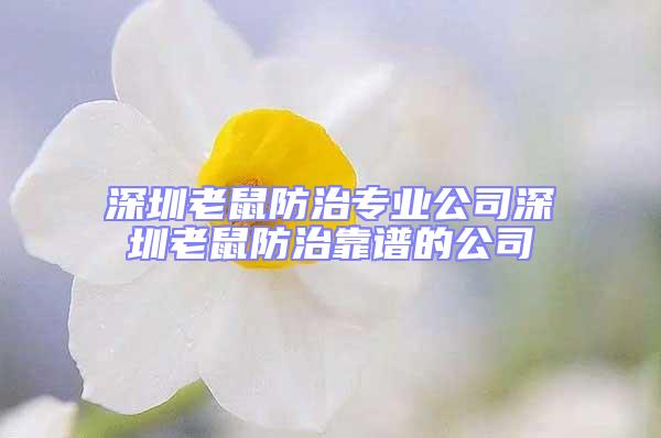 深圳老鼠防治專業(yè)公司深圳老鼠防治靠譜的公司