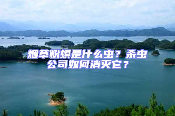 煙草粉螟是什么蟲(chóng)？殺蟲(chóng)公司如何消滅它？