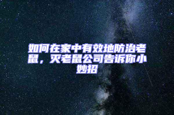 如何在家中有效地防治老鼠，滅老鼠公司告訴你小妙招