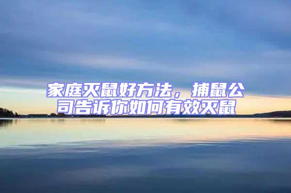 家庭滅鼠好方法，捕鼠公司告訴你如何有效滅鼠