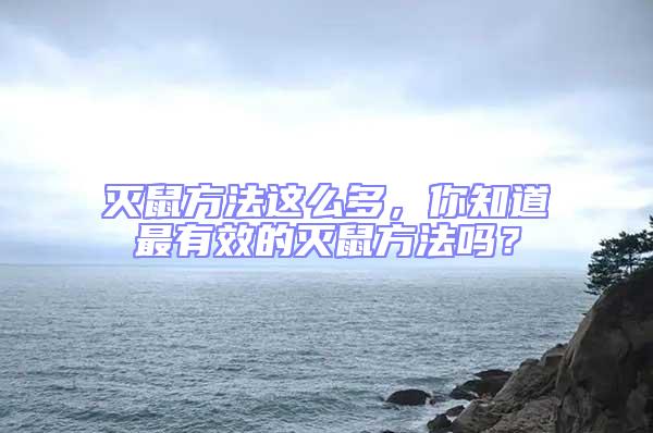 滅鼠方法這么多，你知道最有效的滅鼠方法嗎？