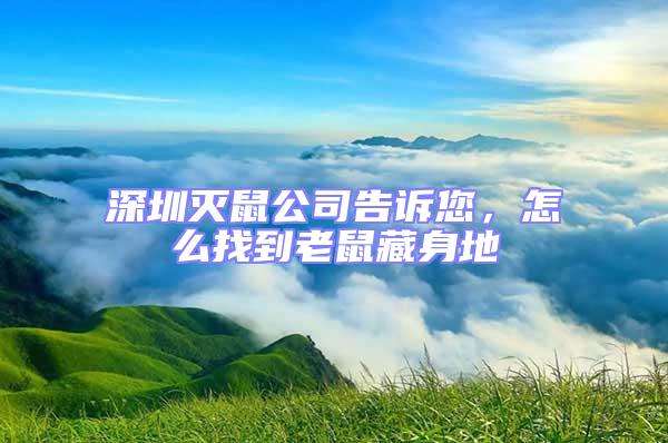 深圳滅鼠公司告訴您，怎么找到老鼠藏身地