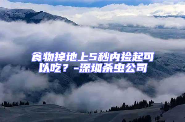 食物掉地上5秒內(nèi)撿起可以吃？-深圳殺蟲公司