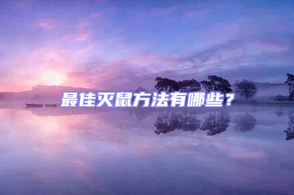 最佳滅鼠方法有哪些？