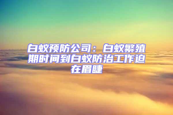 白蟻預(yù)防公司：白蟻繁殖期時(shí)間到白蟻防治工作迫在眉睫