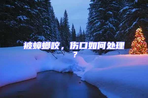 被蟑螂咬，傷口如何處理？