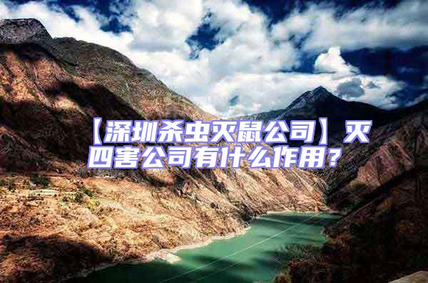 【深圳殺蟲(chóng)滅鼠公司】滅四害公司有什么作用?