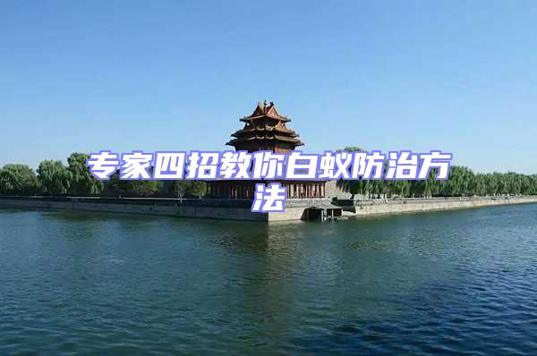 專(zhuān)家四招教你白蟻防治方法