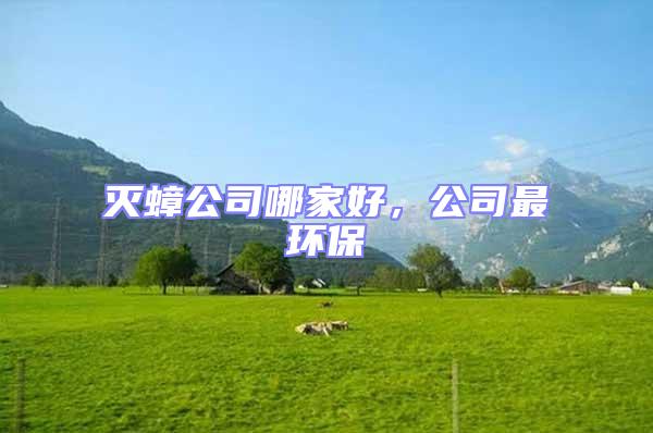 滅蟑公司哪家好，公司最環(huán)保
