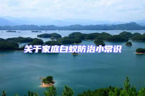 關(guān)于家庭白蟻防治小常識