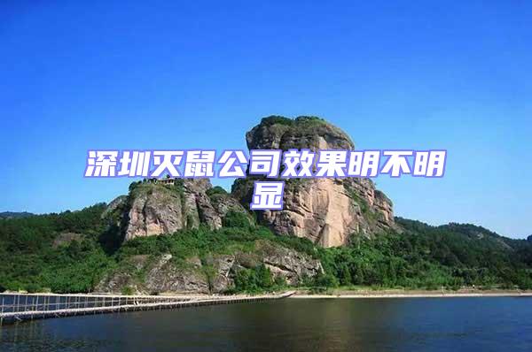 深圳滅鼠公司效果明不明顯