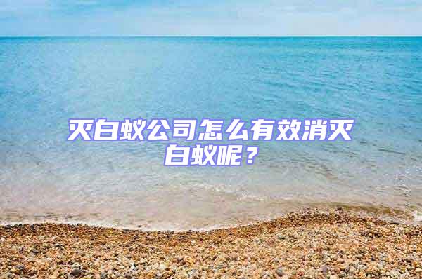 滅白蟻公司怎么有效消滅白蟻呢？