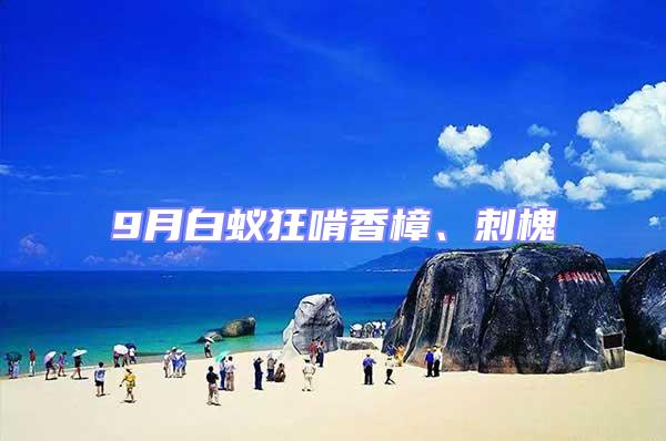 9月白蟻狂啃香樟、刺槐