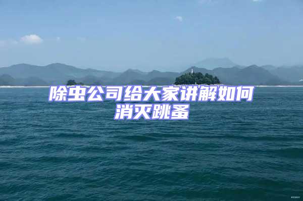 除蟲(chóng)公司給大家講解如何消滅跳蚤