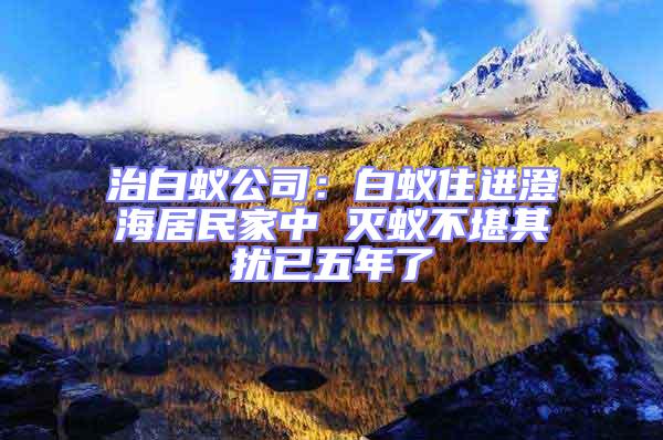 治白蟻公司：白蟻?zhàn)∵M(jìn)澄海居民家中 滅蟻不堪其擾已五年了