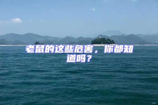 老鼠的這些危害，你都知道嗎？