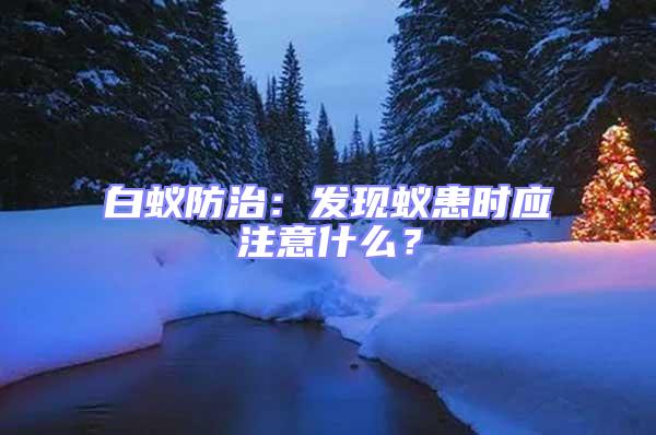 白蟻防治：發(fā)現(xiàn)蟻患時(shí)應(yīng)注意什么？