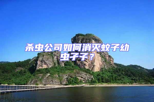 殺蟲公司如何消滅蚊子幼蟲孑孓？