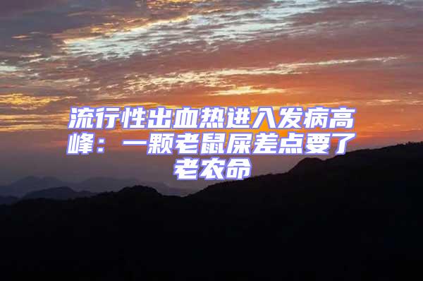 流行性出血熱進(jìn)入發(fā)病高峰：一顆老鼠屎差點要了老農(nóng)命