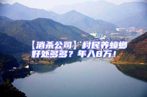 【消殺公司】村民養(yǎng)蟑螂好處多多？年入8萬！