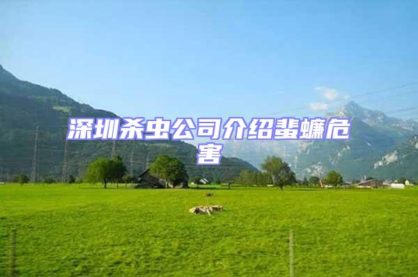 深圳殺蟲公司介紹蜚蠊危害