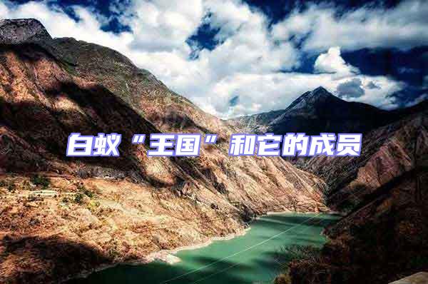 白蟻“王國”和它的成員