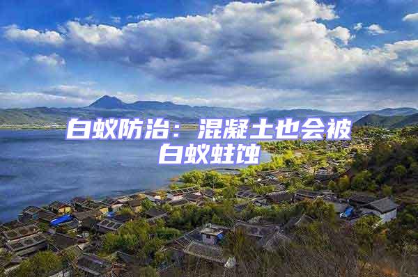 白蟻防治：混凝土也會(huì)被白蟻蛀蝕