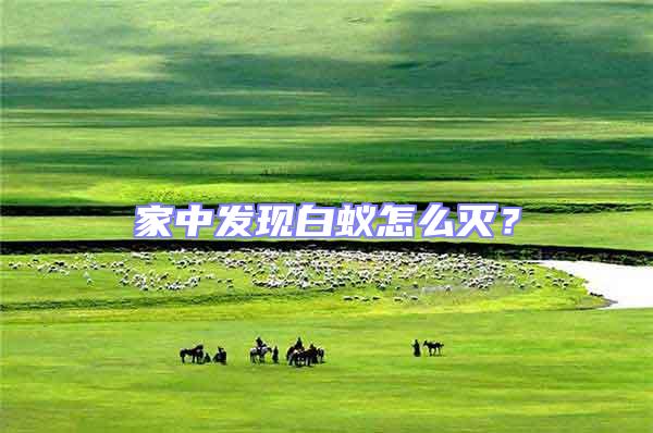 家中發(fā)現(xiàn)白蟻怎么滅？