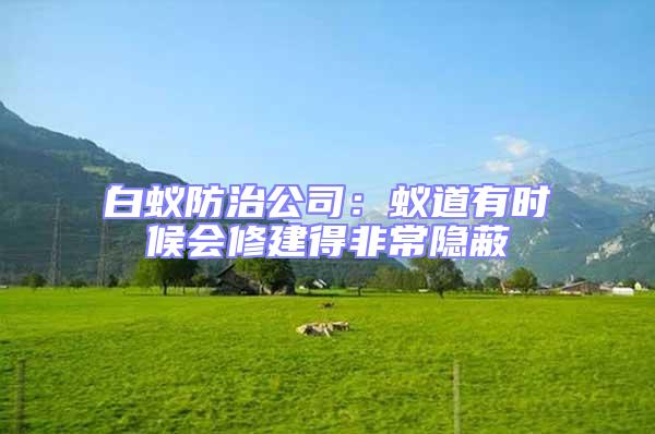 白蟻防治公司：蟻道有時(shí)候會(huì)修建得非常隱蔽