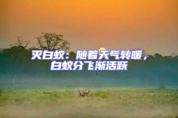 滅白蟻：隨著天氣轉(zhuǎn)暖，白蟻分飛漸活躍