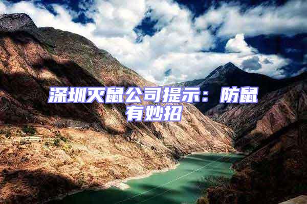 深圳滅鼠公司提示：防鼠有妙招