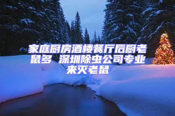 家庭廚房酒樓餐廳后廚老鼠多 深圳除蟲公司專業(yè)來滅老鼠