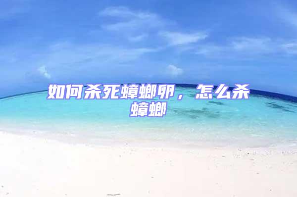 如何殺死蟑螂卵，怎么殺蟑螂