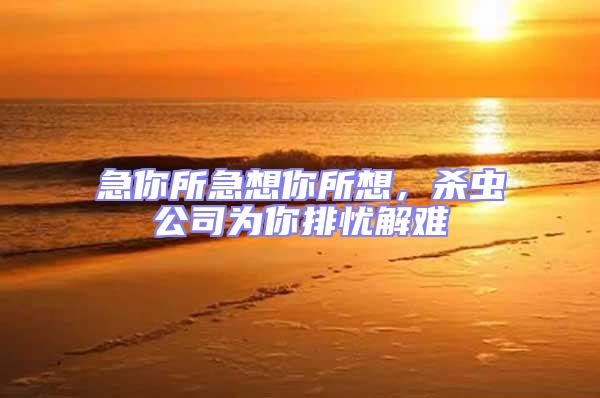 急你所急想你所想，殺蟲公司為你排憂解難