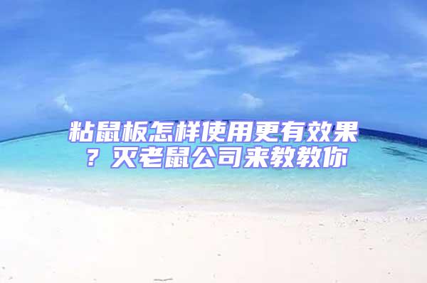 粘鼠板怎樣使用更有效果？滅老鼠公司來(lái)教教你