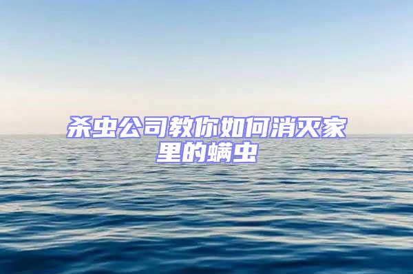 殺蟲(chóng)公司教你如何消滅家里的螨蟲(chóng)