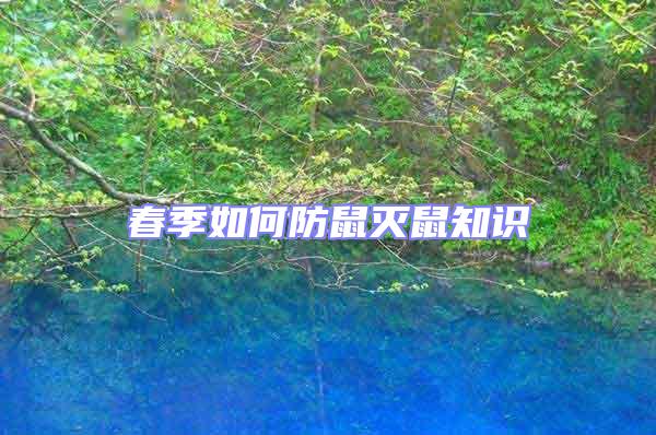 春季如何防鼠滅鼠知識